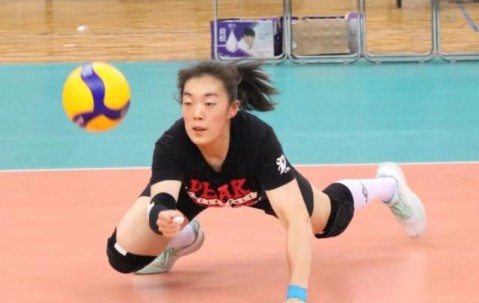 爱游戏体育-高尔夫赛场再起风云：辽东青龙队守住胜果海滨火狐队，脚步移动更到位球迷期待下一战的简单介绍