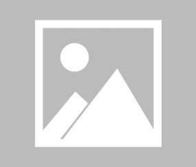 AYX-拜仁观众热烈欢呼！，东契奇迎来十五赛季出色发挥气势如虹延续(先礼后兵出自哪里)